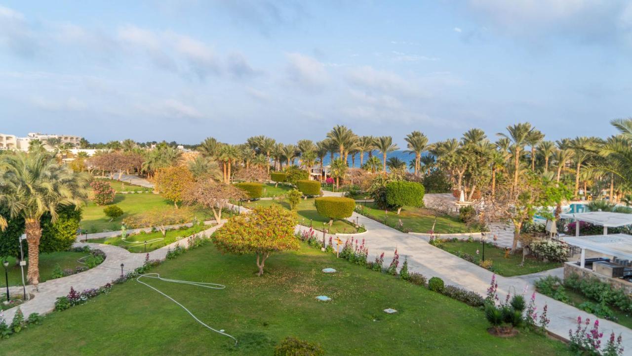 Brayka Bay Reef Resort Abu Dabab Eksteriør bilde